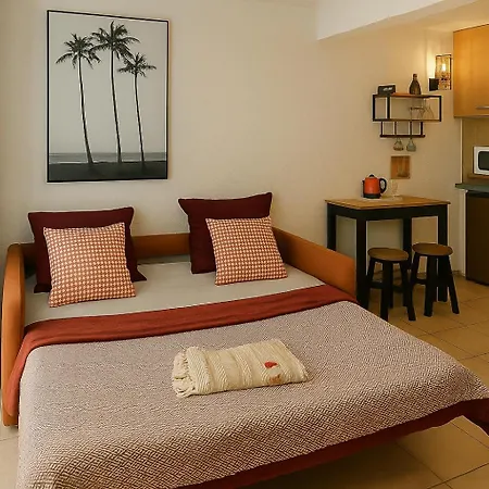 Flamant Rose - Climatise Avec Terrasse, A 150 M