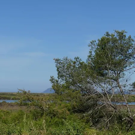 Flamant Rose - Climatise Avec Terrasse, A 150 M * הייר